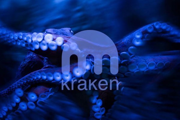 Kraken что это за магазин