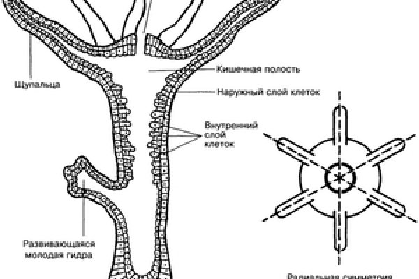 Зеркала на кракен kraken014 com