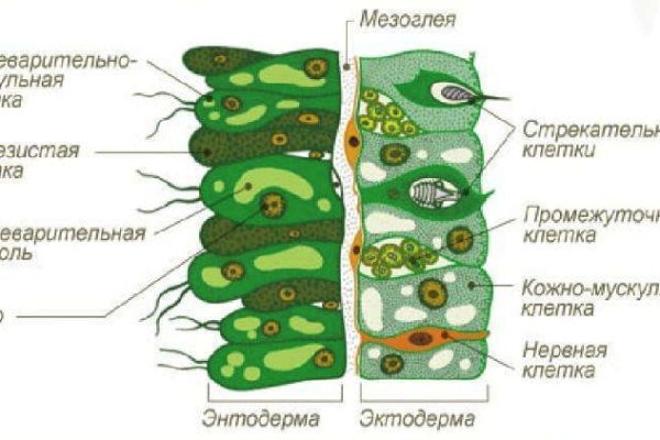 Дарк нет кракен